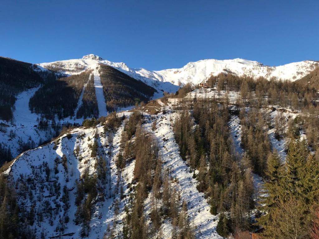 Magnifique 2 Pieces Proche Place D'Auron Buitenkant foto